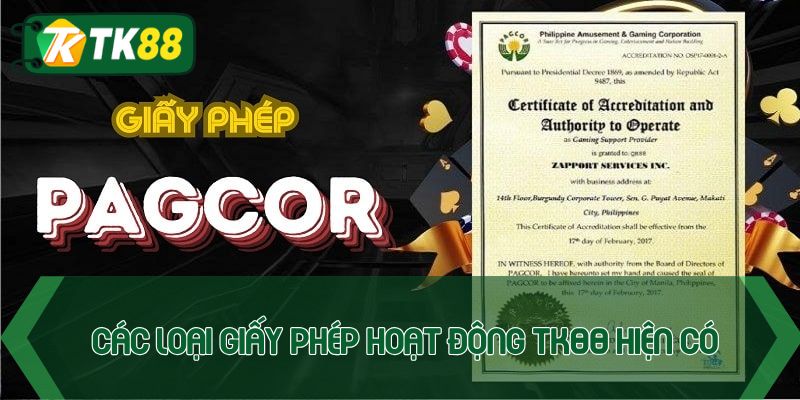 Các loại giấy phép hoạt động TK88  hiện có