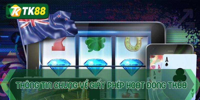 Thông tin chung về giấy phép hoạt động Tk88