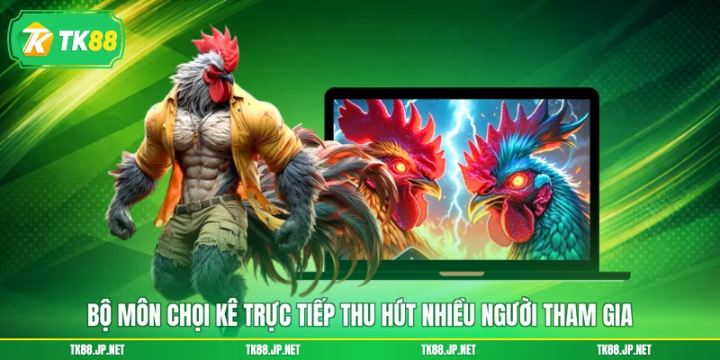 Bộ môn chọi kê trực tiếp thu hút nhiều người tham gia