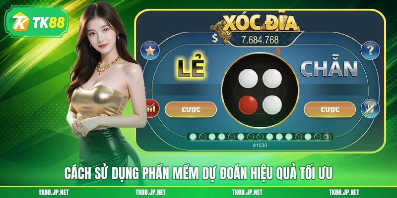 Cách sử dụng phần mềm dự đoán hiệu quả tối ưu