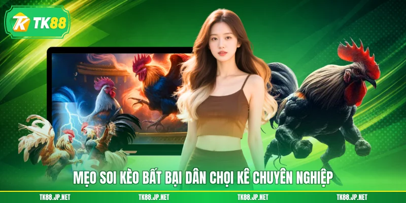 Mẹo soi kèo bất bại dân chọi kê chuyên nghiệp